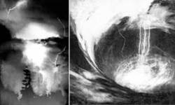 EDIEH : Vortex of Majesty EDIEH : Vortex of Majesty